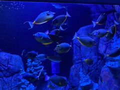 -成都浩海立方海洋公园