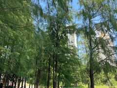 -深圳龙潭公园