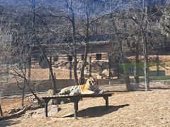 -大连森林动物园