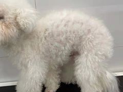 -comecome来吧宠物(奥克斯中心店)