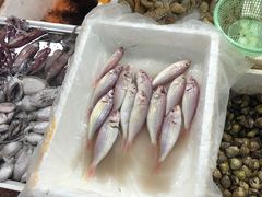 -渔人湾码头海鲜市场负二楼