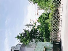 -黄村公园