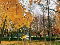 -长安大学(北校区)