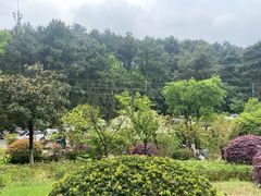 -铁山坪森林公园