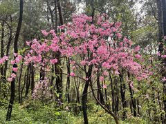 -大榭国际大酒店