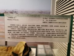 -北京大学赛克勒考古与艺术博物馆
