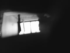 -御池园(顾村公园店)