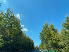 -草原天路(张北县)