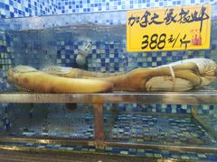 -顺德了能馆(虎门店)