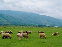 -新疆那拉提国家旅游度假区