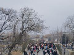 -赵州桥景区