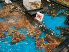 水产区-盒马鲜生(皇庭广场店)