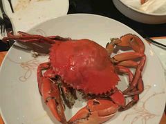 -Ministry of Crab(科伦坡店)