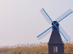 -宁波杭州湾国家湿地公园