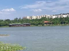 -洛龙公园