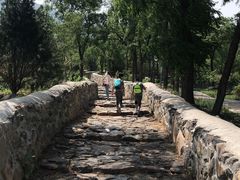 -阳台山自然风景区