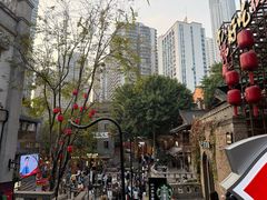 -重庆十八梯传统风貌区