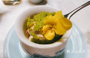 Longjing Milk in Plant Pot