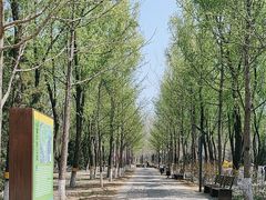 -东升八家郊野公园