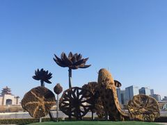-莲花池公园