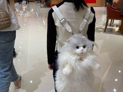 -微缤礼物(青岛海信广场店)