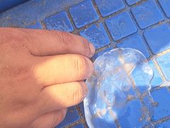 -天津东疆湾沙滩景区