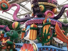 -南宫五洲植物乐园