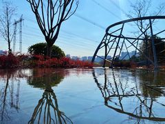 -昆山城市生态森林公园