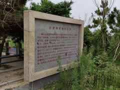 -日照海滨国家森林公园