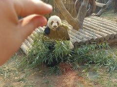 -大连森林动物园