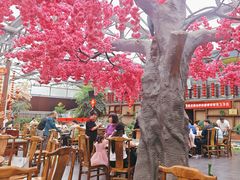 -老磨油饼(高陵店)