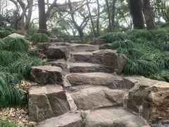 -秋霞圃
