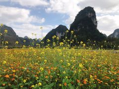 -靖西鹅泉风景区