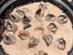 -浩运·海鲜青岛菜·海胆水饺(石老人店)