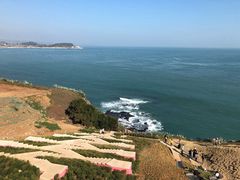 -漳州滨海火山岛自然生态风景区