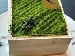 -MOSI CAKE摩思·生牛乳半糖蛋糕(云港花园店)