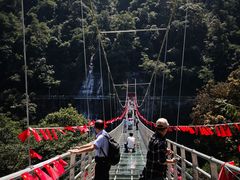 -九龙江国家森林公园