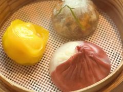 -随堂里