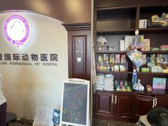 -宠爱国际动物医院·疑难骨科·心肾内科·皮肤科(太阳宫店)