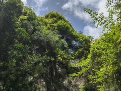 -雁荡山风景名胜区