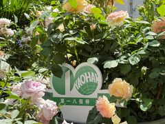 -上海第一八佰伴
