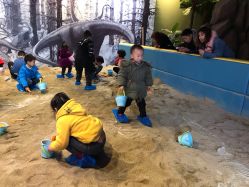 -恐龙探索乐园(磁器口店)