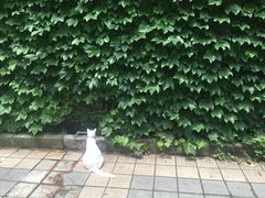 -朱毅育龙游泳俱乐部