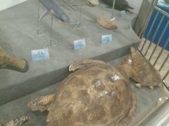 -多彩贵州城极地海洋世界