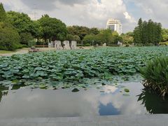 -昆山城市公园