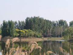 -东郊湿地公园