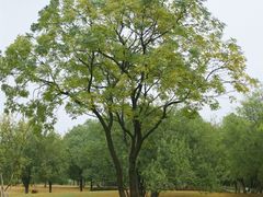 -盘龙城遗址博物院