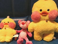 -PAWTOY爪e玩偶店(天兴罗斯福店)