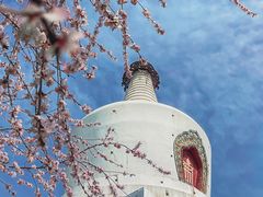 -北海公园