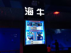 -泉城欧乐堡海洋极地世界